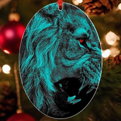 Angry Male Lion Predator Carnivore Uv Print Acrylic Ornament Oval by Ndabl3x