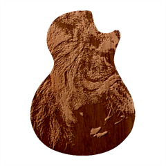 Angry Male Lion Predator Carnivore Guitar Shape Wood Guitar Pick Holder Case And Picks Set by Ndabl3x