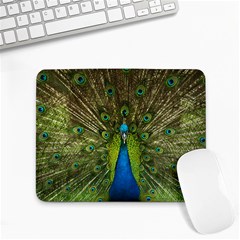 Peacock Feathers Bird Plumage Small Mousepad