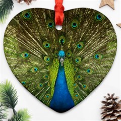 Peacock Feathers Bird Plumage Ornament (heart)