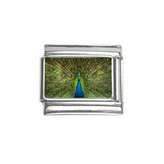 Peacock Feathers Bird Plumage Italian Charm (9mm) by Perong