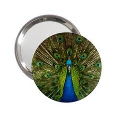 Peacock Feathers Bird Plumage 2 25  Handbag Mirrors