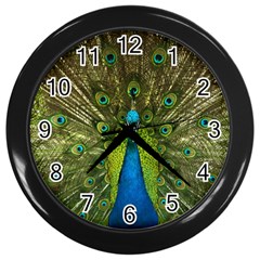 Peacock Feathers Bird Plumage Wall Clock (black) by Perong