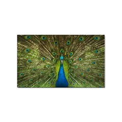 Peacock Feathers Bird Plumage Sticker (rectangular) by Perong