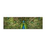 Peacock Feathers Bird Plumage Sticker Bumper (10 pack) Front