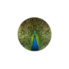 Peacock Feathers Bird Plumage Golf Ball Marker