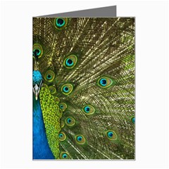 Peacock Feathers Bird Plumage Greeting Card