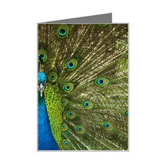 Peacock Feathers Bird Plumage Mini Greeting Card