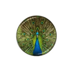 Peacock Feathers Bird Plumage Hat Clip Ball Marker (10 pack)