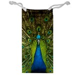 Peacock Feathers Bird Plumage Jewelry Bag Front