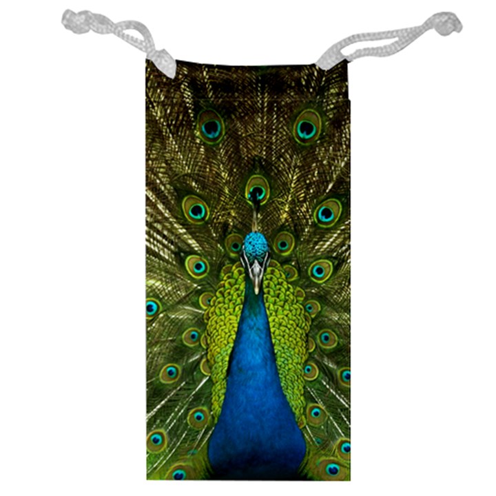 Peacock Feathers Bird Plumage Jewelry Bag