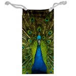 Peacock Feathers Bird Plumage Jewelry Bag Back