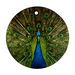 Peacock Feathers Bird Plumage Round Ornament (Two Sides) Back