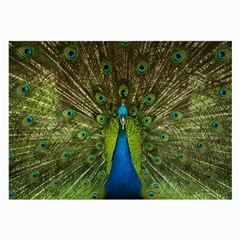 Peacock Feathers Bird Plumage Large Glasses Cloth by Perong