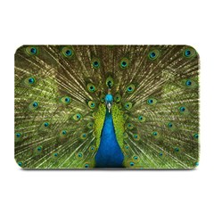 Peacock Feathers Bird Plumage Plate Mats