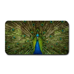 Peacock Feathers Bird Plumage Medium Bar Mat