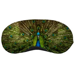 Peacock Feathers Bird Plumage Sleep Mask