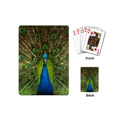 Peacock Feathers Bird Plumage Playing Cards Single Design (mini)