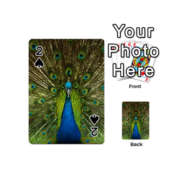 Peacock Feathers Bird Plumage Playing Cards 54 Designs (Mini)