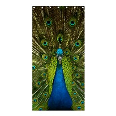 Peacock Feathers Bird Plumage Shower Curtain 36  X 72  (stall) 