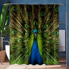 Peacock Feathers Bird Plumage Shower Curtain 60  x 72  (Medium) 