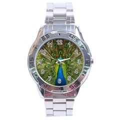 Peacock Feathers Bird Plumage Stainless Steel Analogue Watch