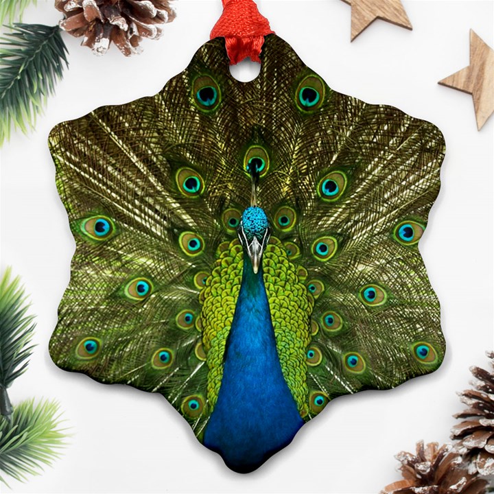 Peacock Feathers Bird Plumage Ornament (Snowflake)