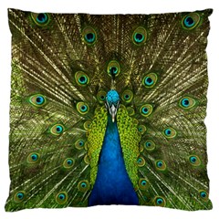 Peacock Feathers Bird Plumage Large Cushion Case (one Side)