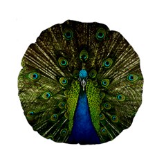 Peacock Feathers Bird Plumage Standard 15  Premium Round Cushions