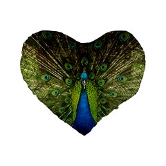 Peacock Feathers Bird Plumage Standard 16  Premium Heart Shape Cushions