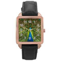 Peacock Feathers Bird Plumage Rose Gold Leather Watch 