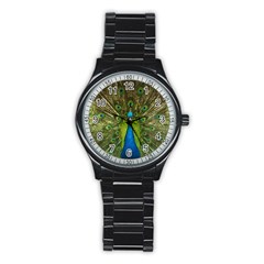 Peacock Feathers Bird Plumage Stainless Steel Round Watch