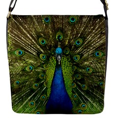 Peacock Feathers Bird Plumage Flap Closure Messenger Bag (S)