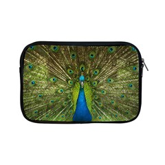 Peacock Feathers Bird Plumage Apple iPad Mini Zipper Cases