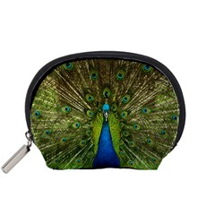 Peacock Feathers Bird Plumage Accessory Pouch (small)