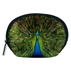 Peacock Feathers Bird Plumage Accessory Pouch (medium) by Perong