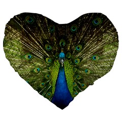 Peacock Feathers Bird Plumage Large 19  Premium Flano Heart Shape Cushions