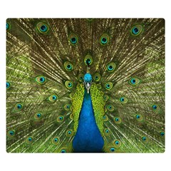 Peacock Feathers Bird Plumage Two Sides Premium Plush Fleece Blanket (kids Size) by Perong