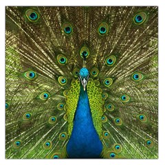 Peacock Feathers Bird Plumage Square Satin Scarf (36  x 36 )