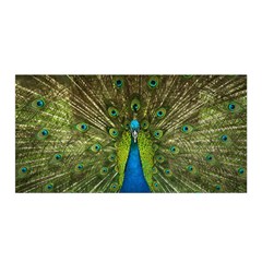 Peacock Feathers Bird Plumage Satin Wrap 35  X 70  by Perong