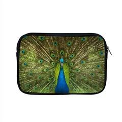 Peacock Feathers Bird Plumage Apple Macbook Pro 15  Zipper Case by Perong