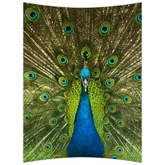 Peacock Feathers Bird Plumage Back Support Cushion