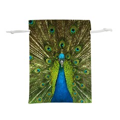 Peacock Feathers Bird Plumage Lightweight Drawstring Pouch (M)