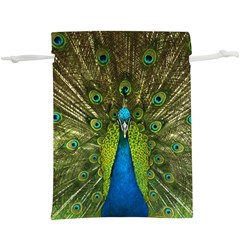 Peacock Feathers Bird Plumage Lightweight Drawstring Pouch (XL)