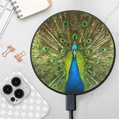 Peacock Feathers Bird Plumage Wireless Fast Charger(Black)