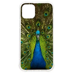 Peacock Feathers Bird Plumage Iphone 12/12 Pro Tpu Uv Print Case by Perong