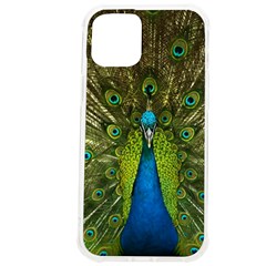 Peacock Feathers Bird Plumage Iphone 12 Pro Max Tpu Uv Print Case by Perong