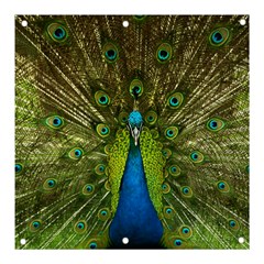 Peacock Feathers Bird Plumage Banner And Sign 3  X 3 