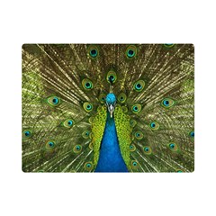 Peacock Feathers Bird Plumage Premium Plush Fleece Blanket (Mini)