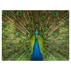 Peacock Feathers Bird Plumage Two Sides Premium Plush Fleece Blanket (Baby Size)